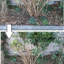 地面の見栄えを良くする