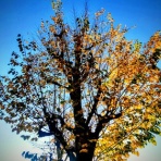 ＝佐藤太の監督雑記＝