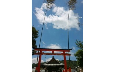 『『嵯峨祭り「還幸祭」🌟渡月橋の初夏の青空に映える剣鉾』』の画像