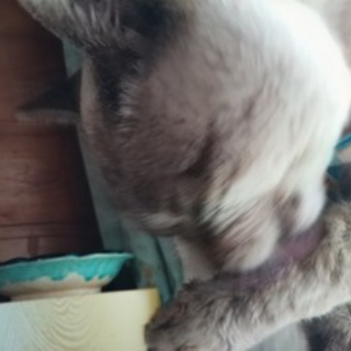 へんおじの闘病記