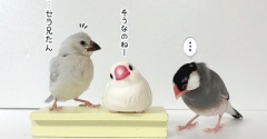 兄としての門出