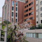 田町の整体・鍼灸　「港カイロプラクティック鍼灸」