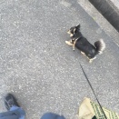 何でもない金曜！