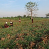 『対人地雷、不発弾の爆破』の画像
