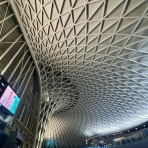 カイエのまにまに自由帳（旧 蓼食う虫もテキサス）