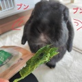 何を言うかと思えば。