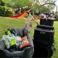HOMECOMING PARK & SHINAGAWA URBAN Pet Life譲渡会 ご支援品のご紹介♪