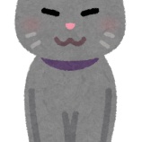 『【話題】Daigo「ねこホーダイは利用者の審査と罰則を徹底」「保健所の猫虐殺を止めるのが先」ネット民「虐殺はちがうやろ……」』の画像