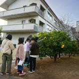 『白朋苑でハッサク狩り』の画像