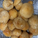 奥飛騨　うちのペンションBlog