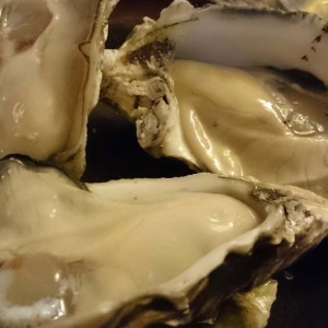 牡蠣の 旬 っていつなの カキペディア 牡蠣百科 Powered By ライブドアブログ