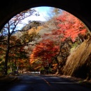 塩原紅葉2025（大正浪漫渓谷の道）