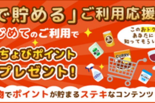 ポインヨとはなにかね ちょびリッチ