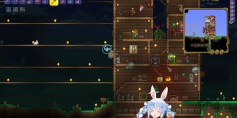 【ホロテラリア】ファッションチェック兎田「サボテン装備を捨てろー！」