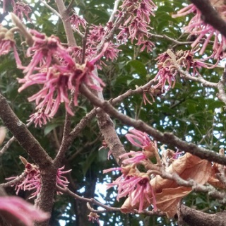 いつも居留守の　在氣呂（imasu_kero）のblog