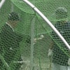 【定期】ハリーが中田翔に打撃指導「左足のつま先を上げるな」
