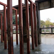 媛ちゃんの19歳のお誕生会♪　（３）