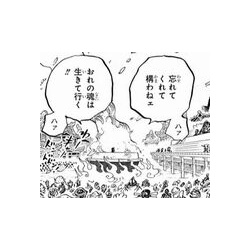 あにこぱす