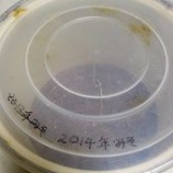 『2014年に仕込んだ自家製味噌が1年の熟成して完成～☆＆しかし去年の天地返し後、今年の春先まで2つとも無事だったのですが、今年の夏に余計なことをしてしまった結果…』の画像