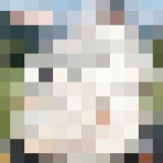 くるまにあ速報