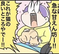 猫が膝に乗ってくるわけ