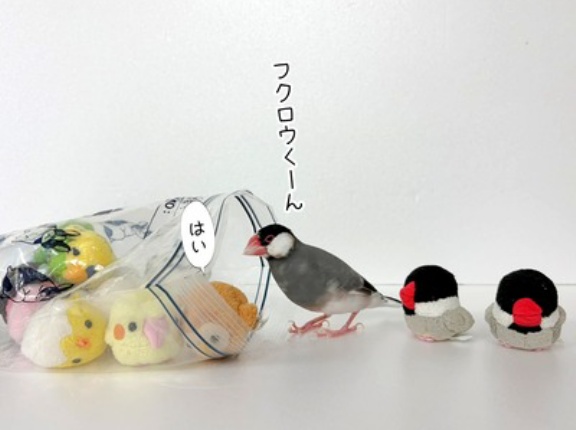 セラは何をしたかったのか？