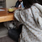 黒トラ子猫「ミム」の幸せ探しブログ。