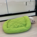 かくれんぼ‥🫣