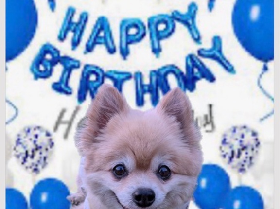 リッたんのお誕生日おめでとう🎂🎉🩷