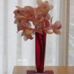 万年山文庫　『只今準備中』