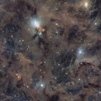 星空に魅せられて