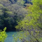 吉野川のほとりから