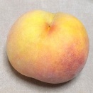 長野生まれのワッサー