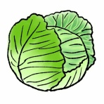 おうまがタイムズ