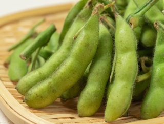 1袋300円で黒埼茶豆詰め放題！？中央区東堀前通『加島屋本店』で『規格外黒埼茶豆の詰め放題』開催！8月18日、25日。