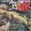 米🍚づくり　2025