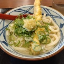 丸亀製麺、旨塩うどん、ごぼう天。