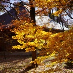 ちゃっぷの温泉・ハイキングブログ