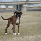 2026年3月訓練会を実施しました！