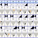 ボウリングのフリータイム　（４９７）