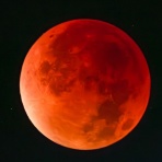 とやま速報 - 富山県富山市の地域情報サイト