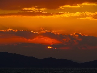 今年初の　夕日ハンター