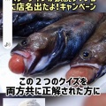 鉄腕ダッシュにスターダイブ店名が出たよ！キャンペーン開始
