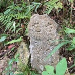 大阪の歴女と歴犬