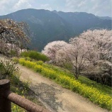 『今年度の抱負(森原一輝)』の画像