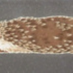 染めもの 中野　 ++今日のお仕事++