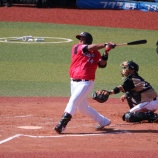 『新型コロナを逆風にした阪神、追い風にしたロッテ』の画像