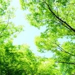 家庭教師クオリアの日記ブログ