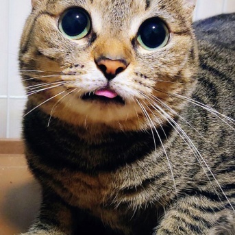 これだからキジ女子の彩ちゃんは…