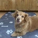 気ままに・・ひとりごと